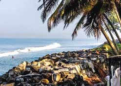 Best of two cultures 